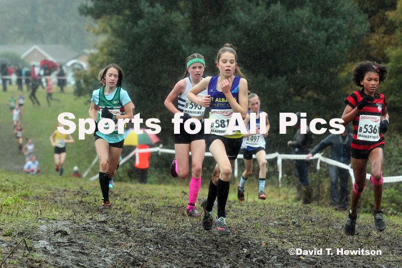 Girls under-13s, National Cross Country Relay Champs., Berry Hill Park, Mansfield.  Photo: David T. Hewitson/Sports for All Pics
